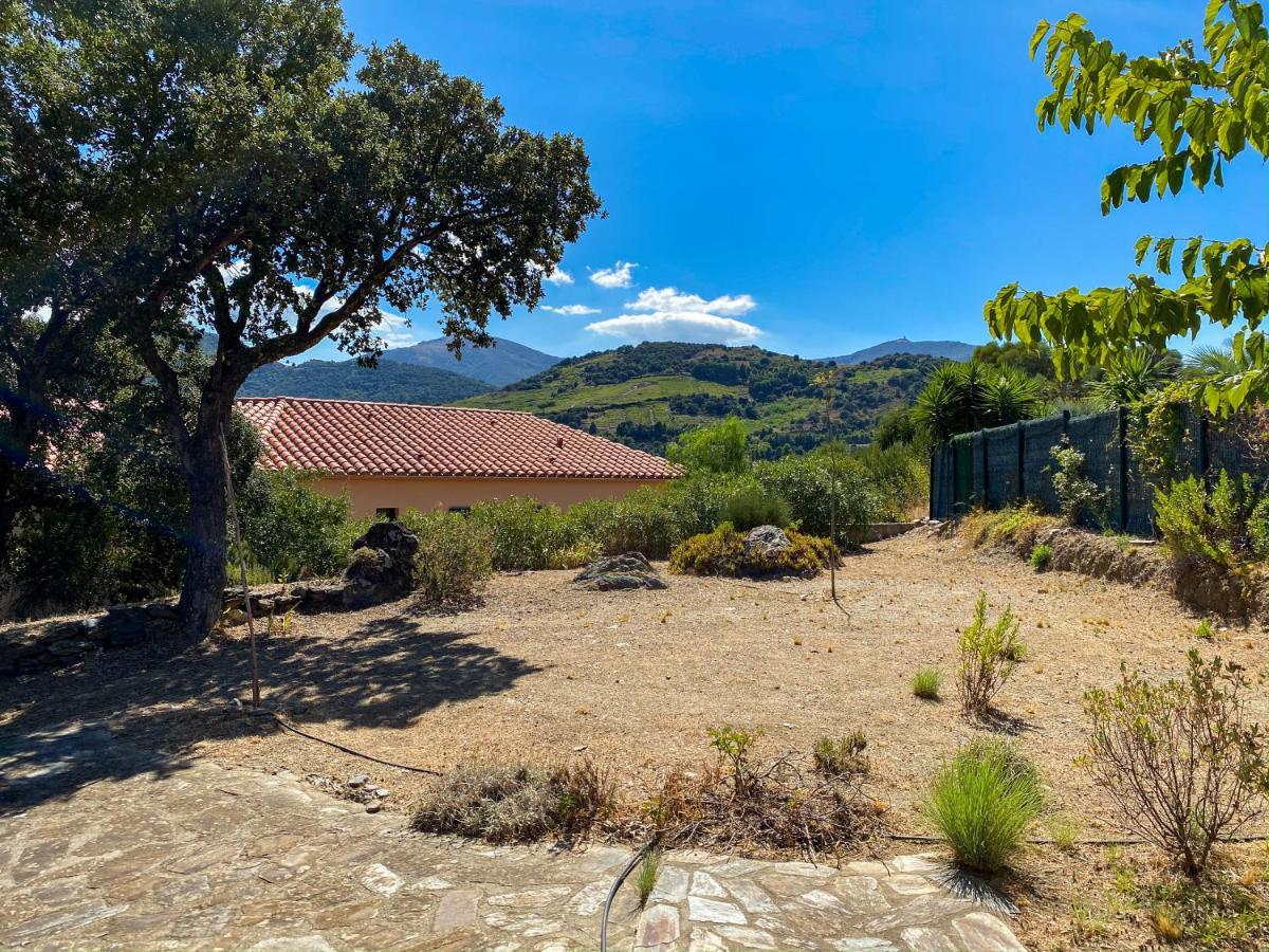 4Amb2 Villa De Caractere Avec Piscine Collective Collioure Ngoại thất bức ảnh